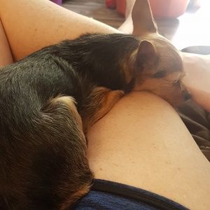 Meet your Posher, Lee